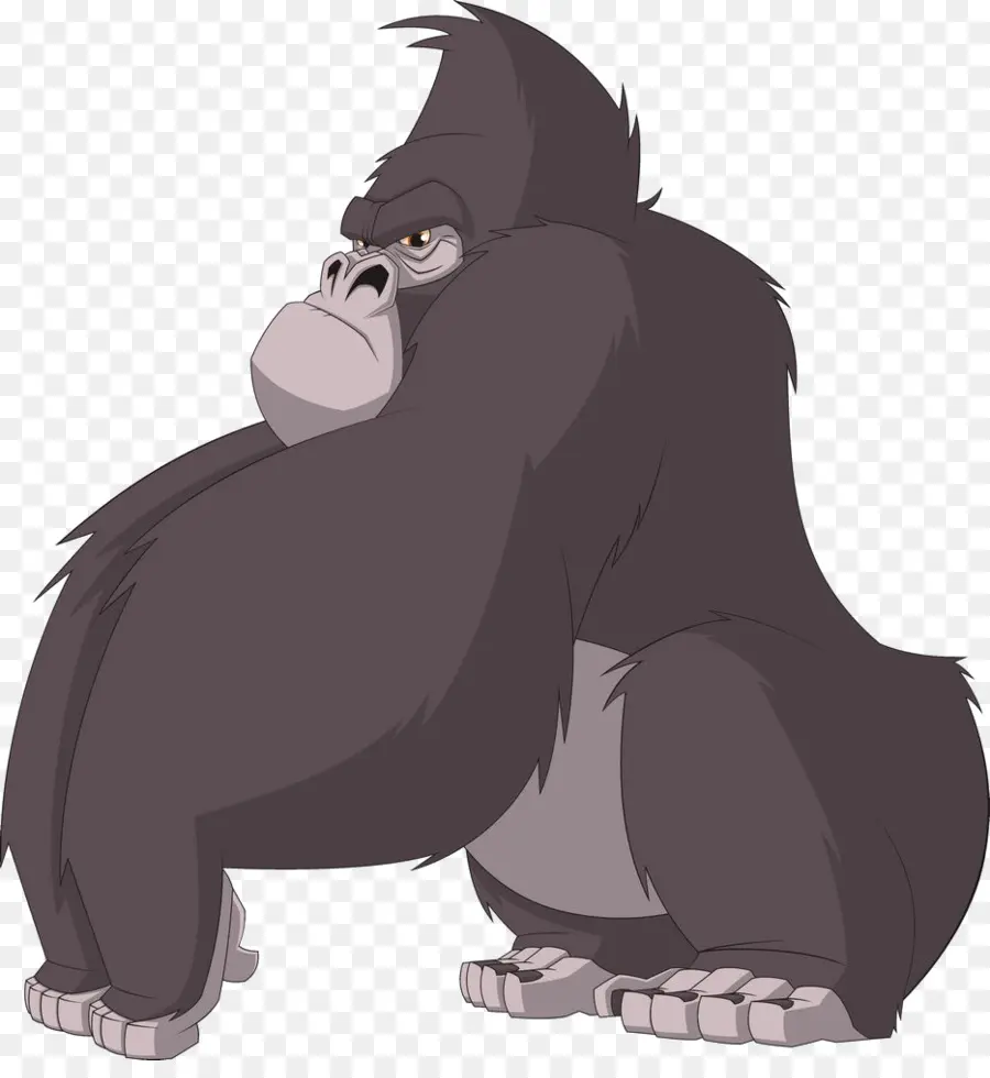шимпанзе，горилла PNG