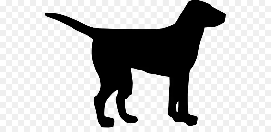 лабрадор ретривер，черный пес PNG