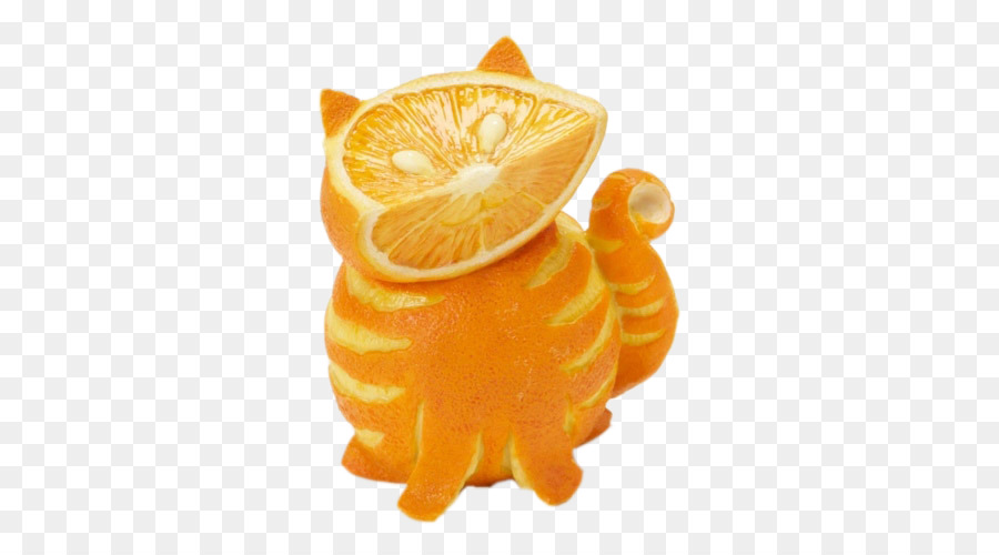 кошка，оранжевый PNG