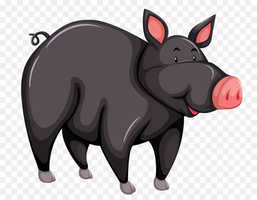 большие черные свиньи，черной иберийской свиньи PNG