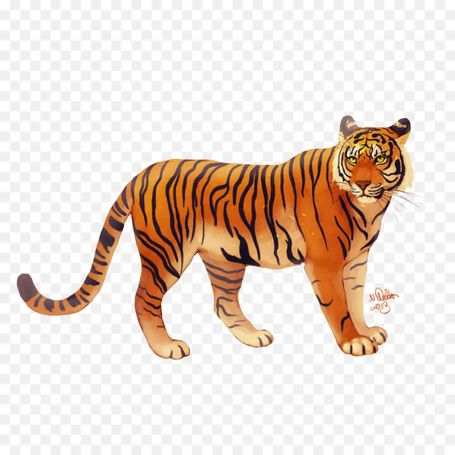 балийский тигр，яванского тигра PNG