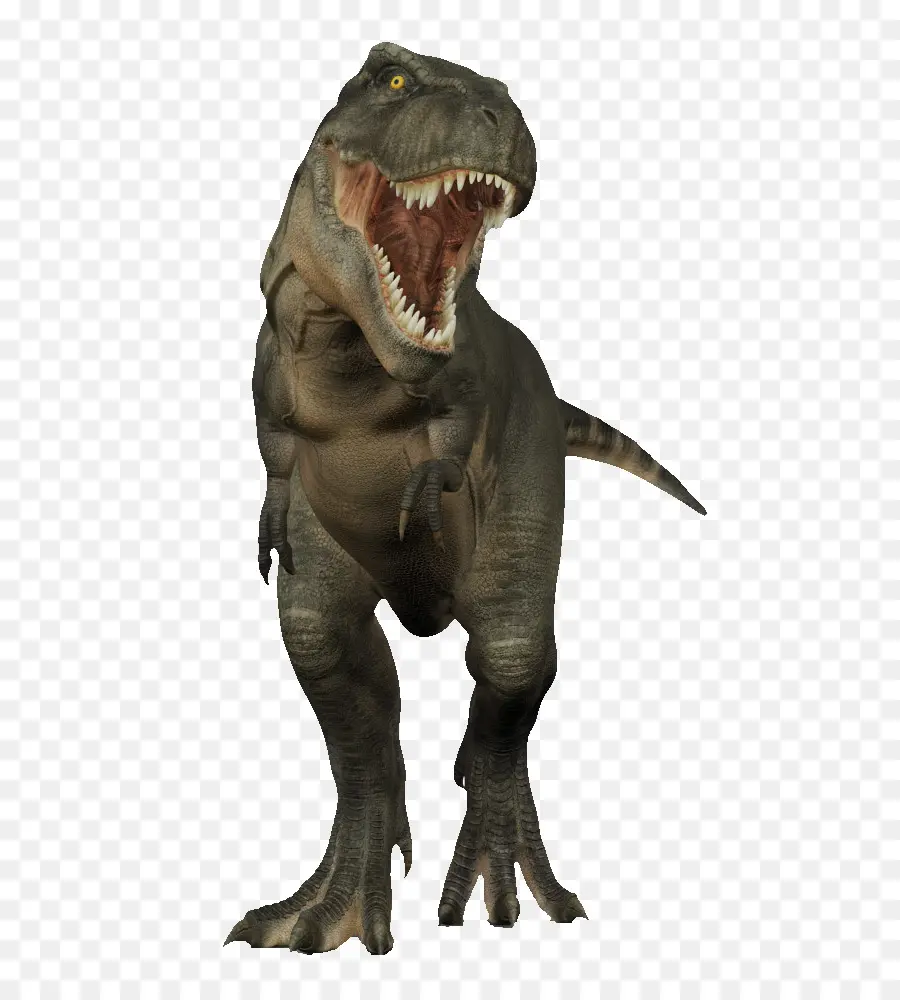 тираннозавра，динозавр PNG