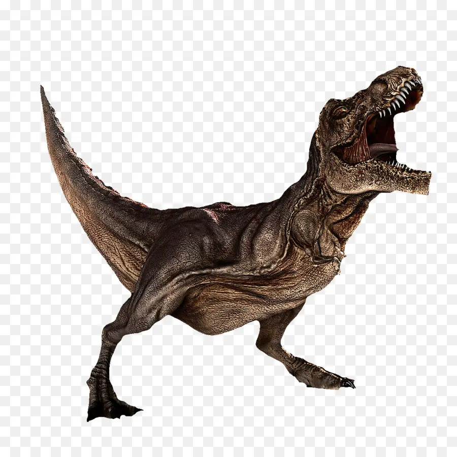 динозавр，тираннозавра PNG