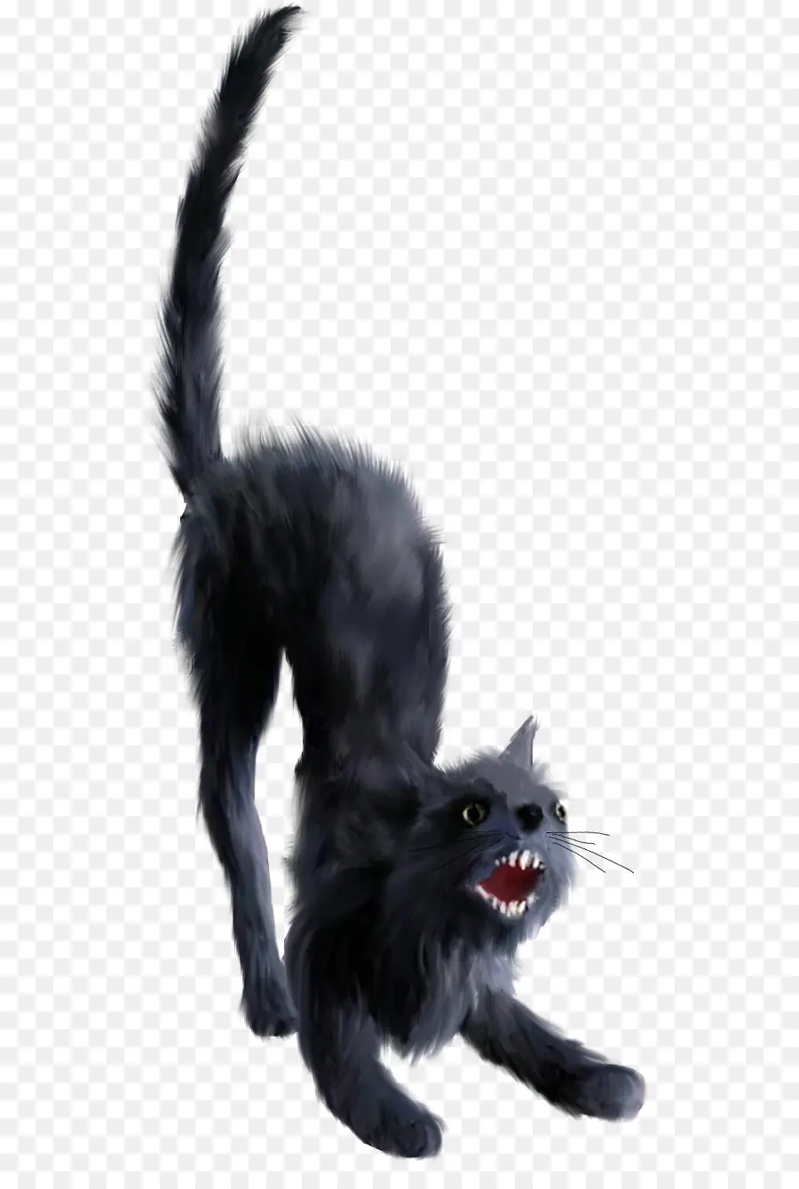 Черная кошка，кошачий PNG