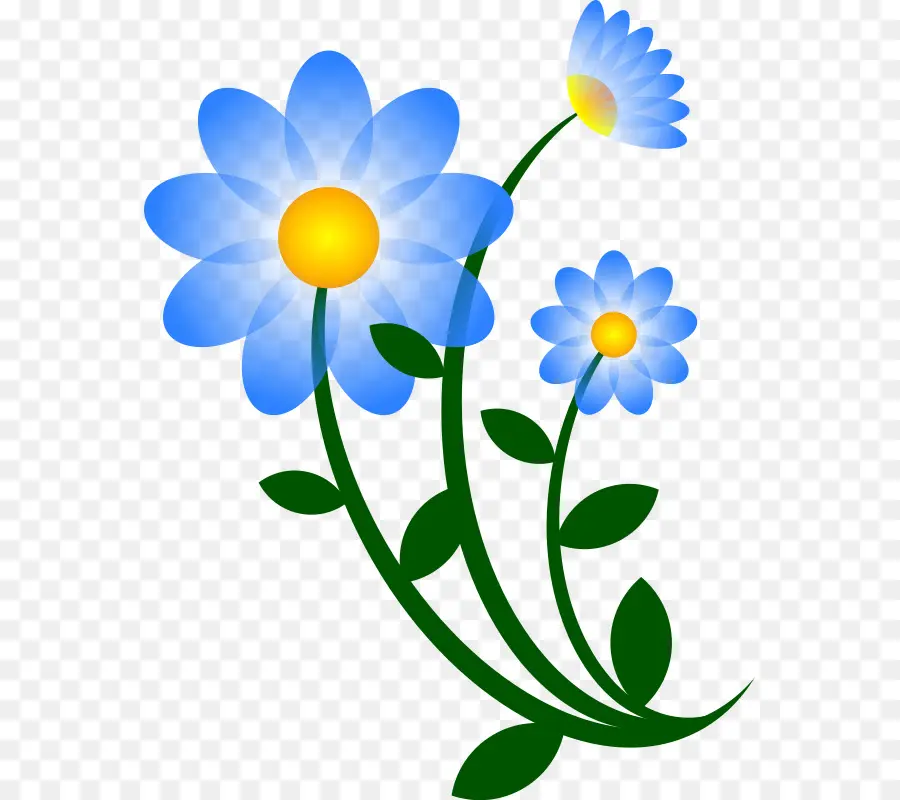 цветок，рисунок PNG