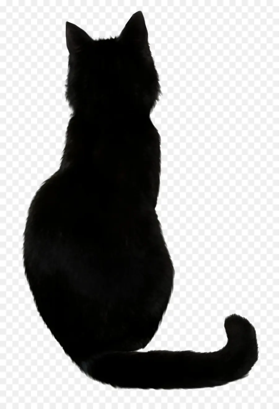 Саванна кошка，черный кот PNG