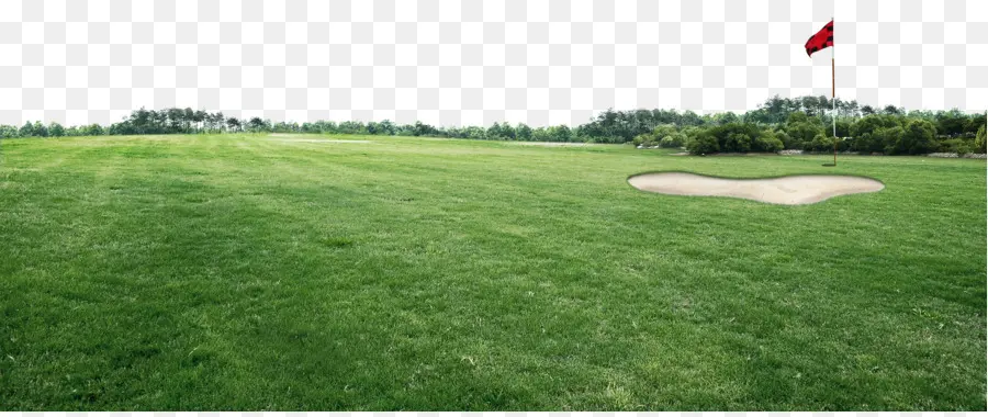 гольф，поле для гольфа PNG