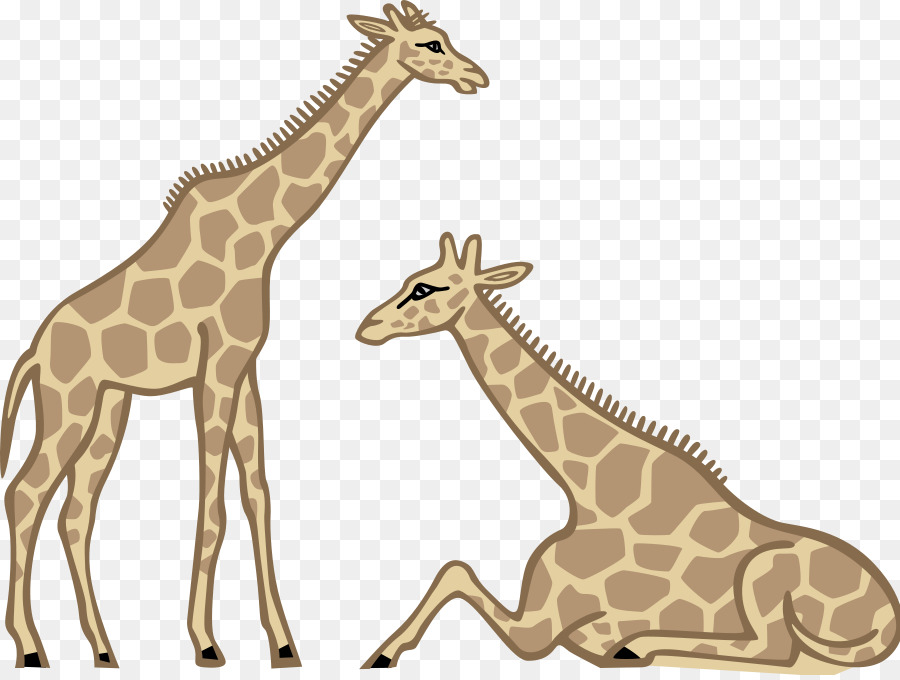 жираф，рисунок PNG