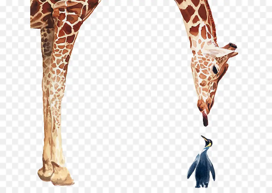 пингвин，жираф PNG