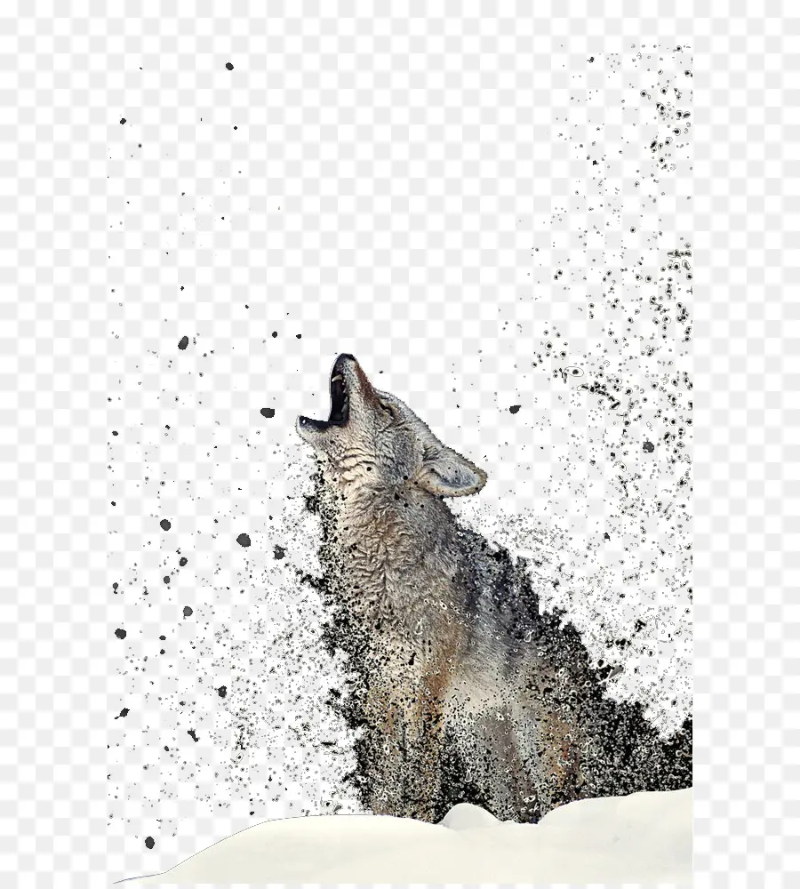 тотем волка，серый волк PNG