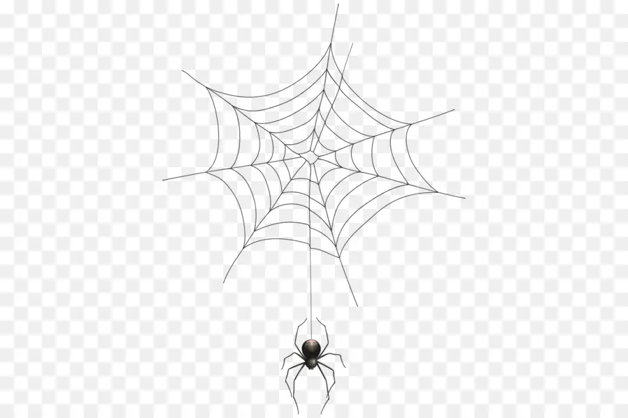 паук，Хэллоуин PNG