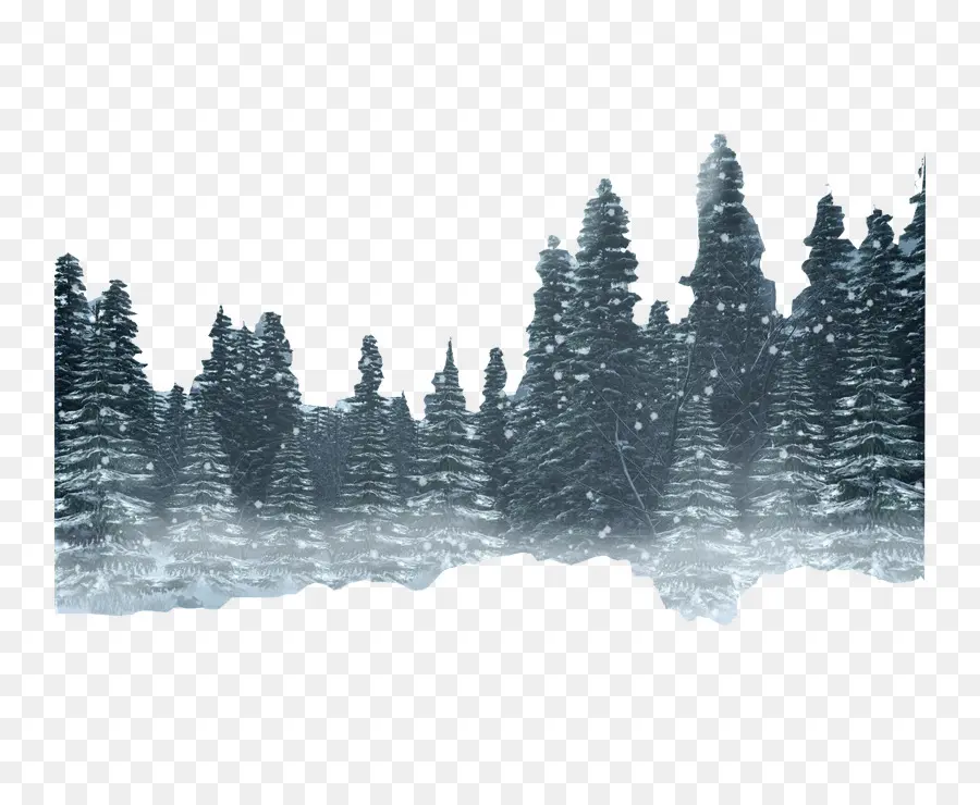 снег，лес PNG