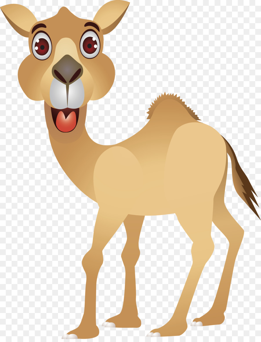 Мультяшное лицо верблюда