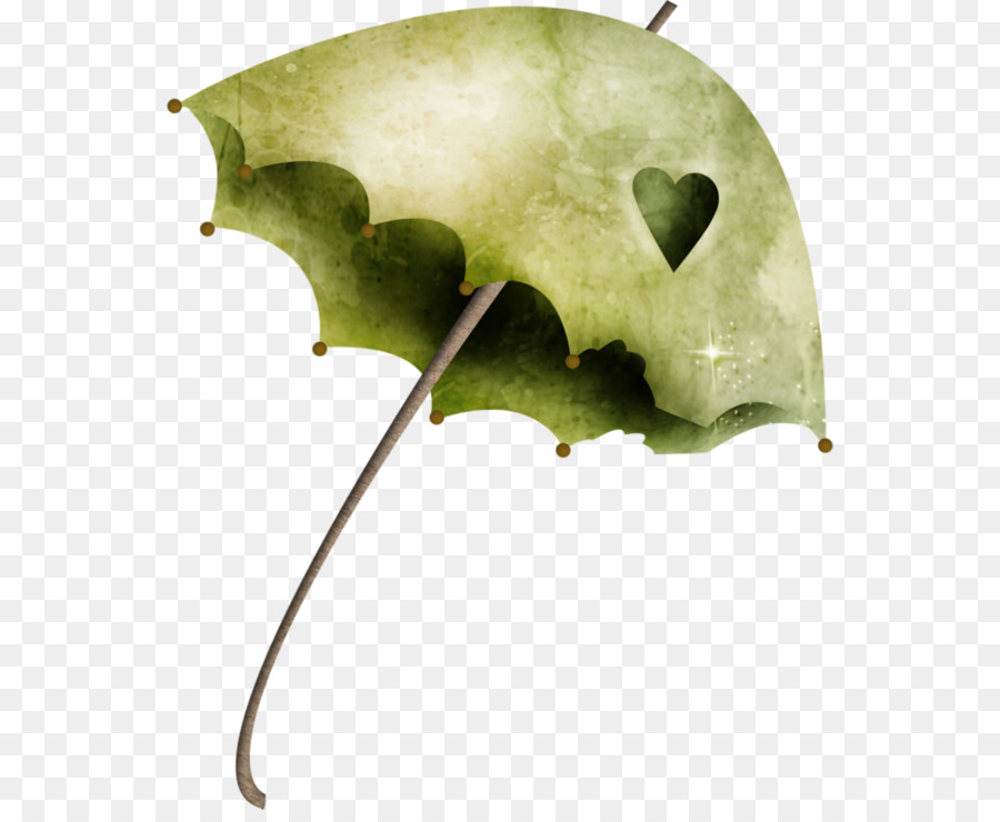 зонтик，мода PNG