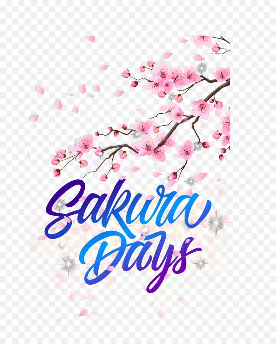 национальный фестиваль цветения сакуры，вишни PNG