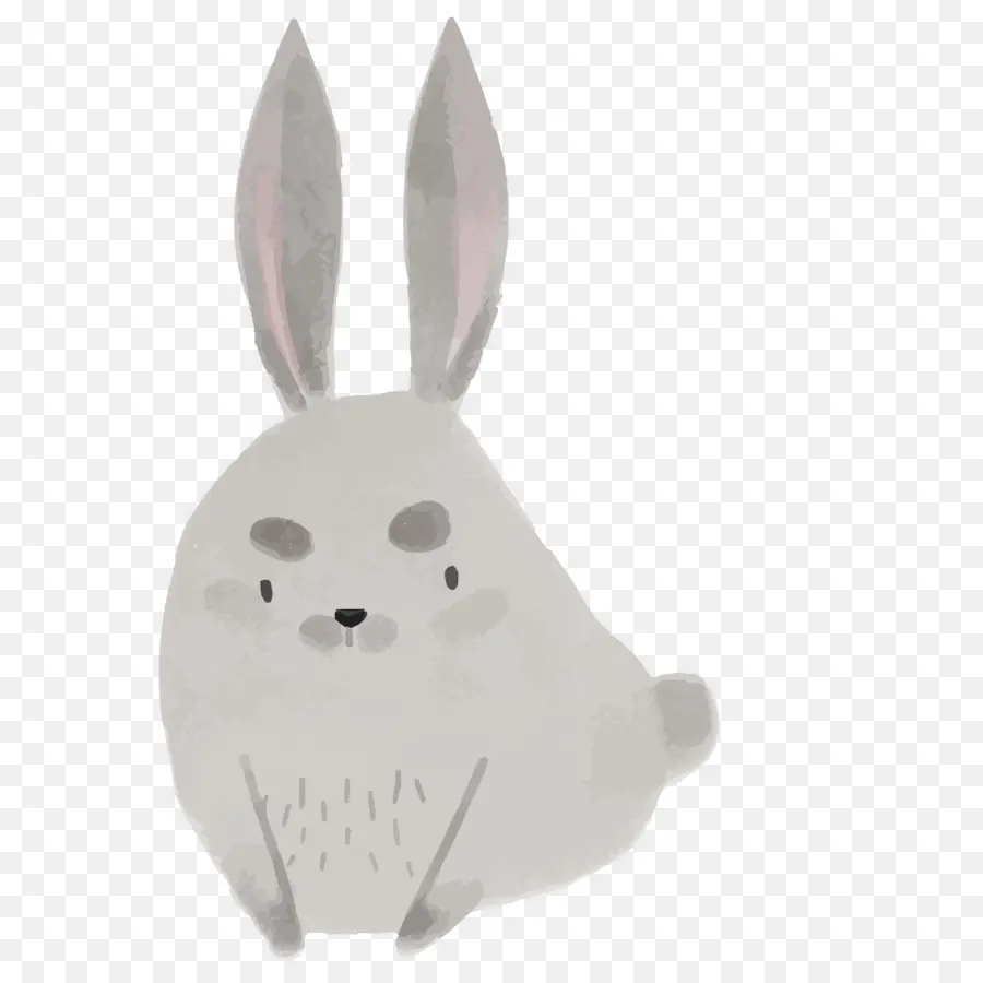 домашний кролик，рисунок PNG