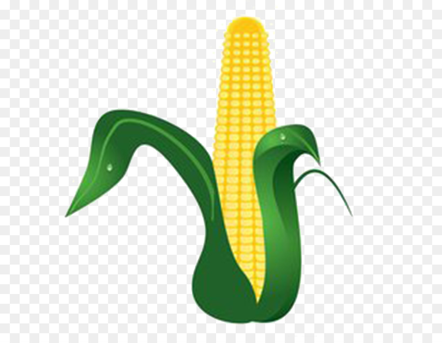кукурузы，плакат PNG