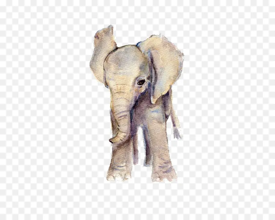 слон，акварельная живопись PNG