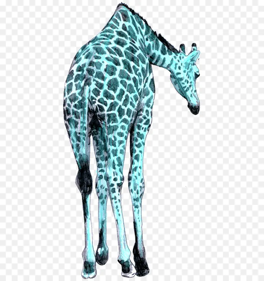 жираф，ежик PNG