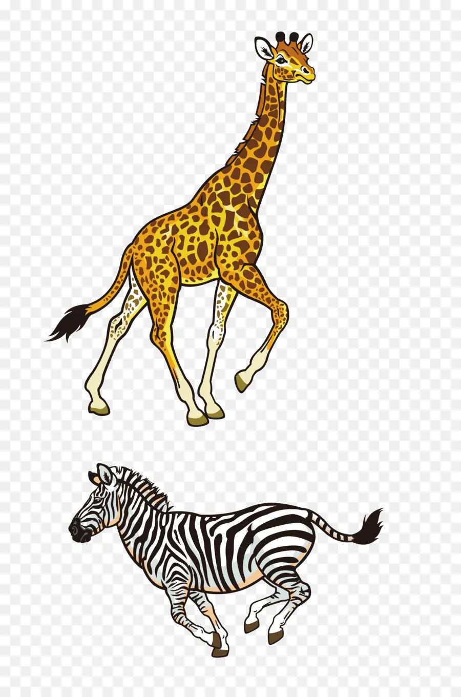Африка，Северный жираф PNG