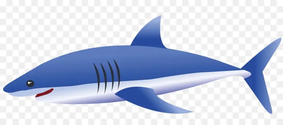 тигровая акула，Шарк PNG