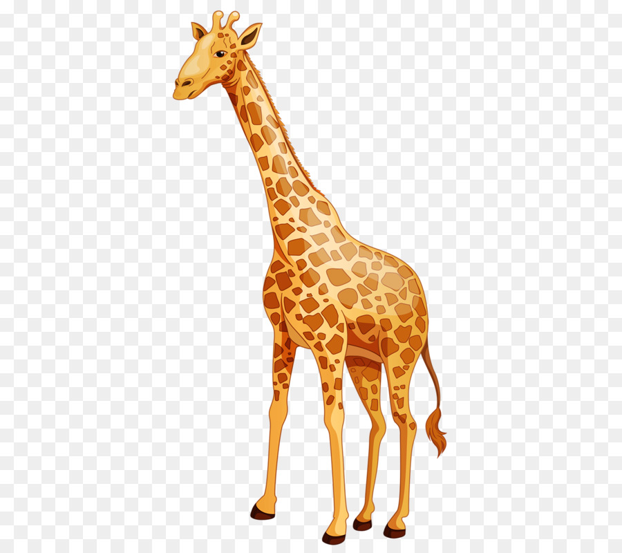 свободно детские жирафы, мультфильм, Северный жираф прозрачное изображение.