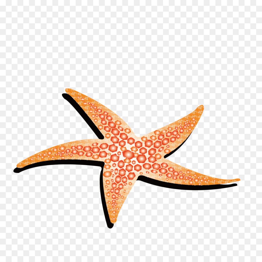 Морская звезда анимация