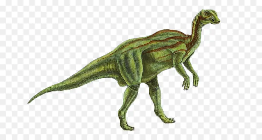 Gryposaurus，Fabrosaurus PNG
