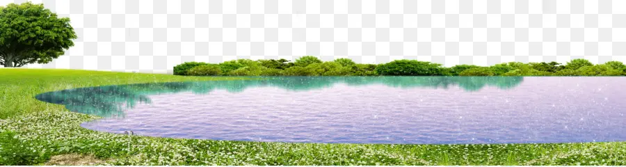 трава，озеро PNG