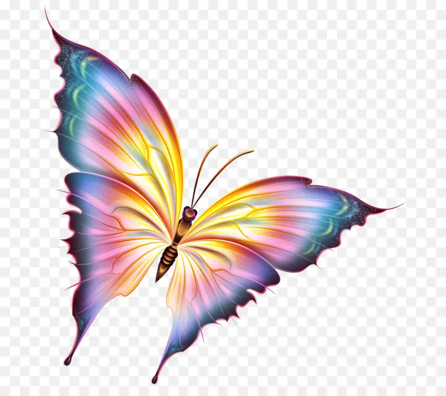 бабочка，3d компьютерной графики PNG