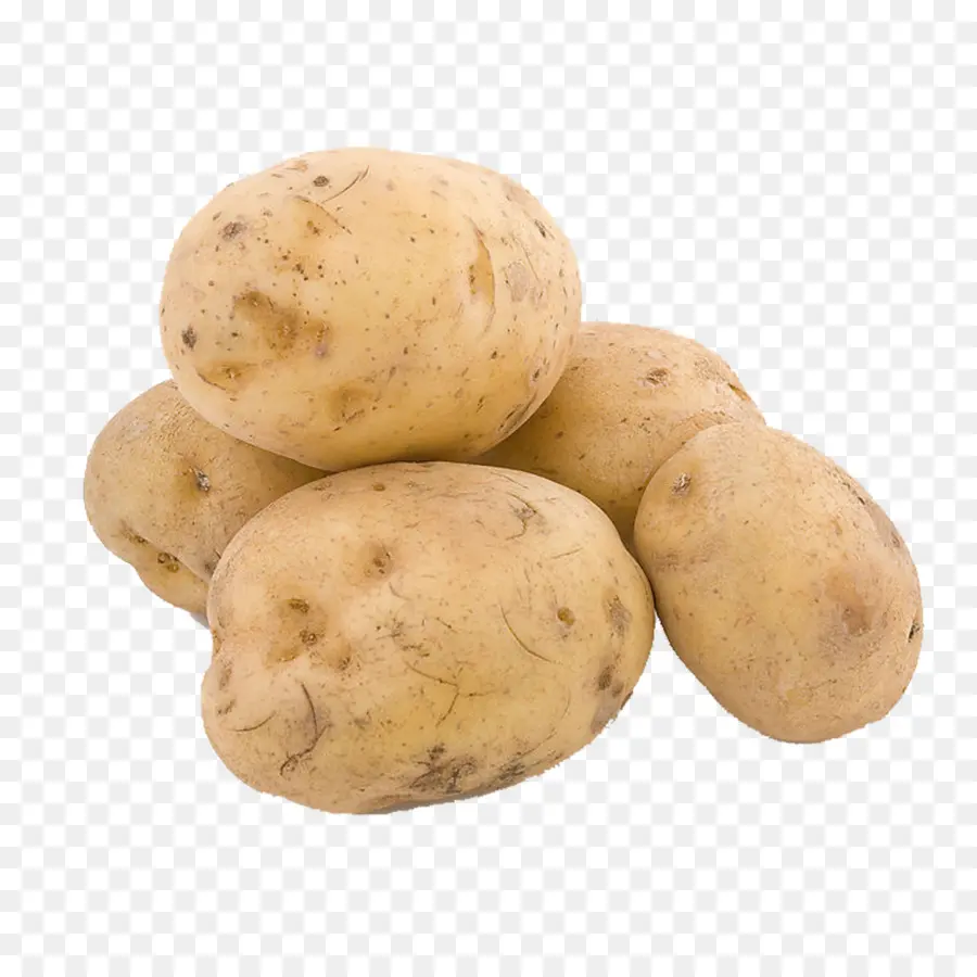 картофель，картофель лук PNG