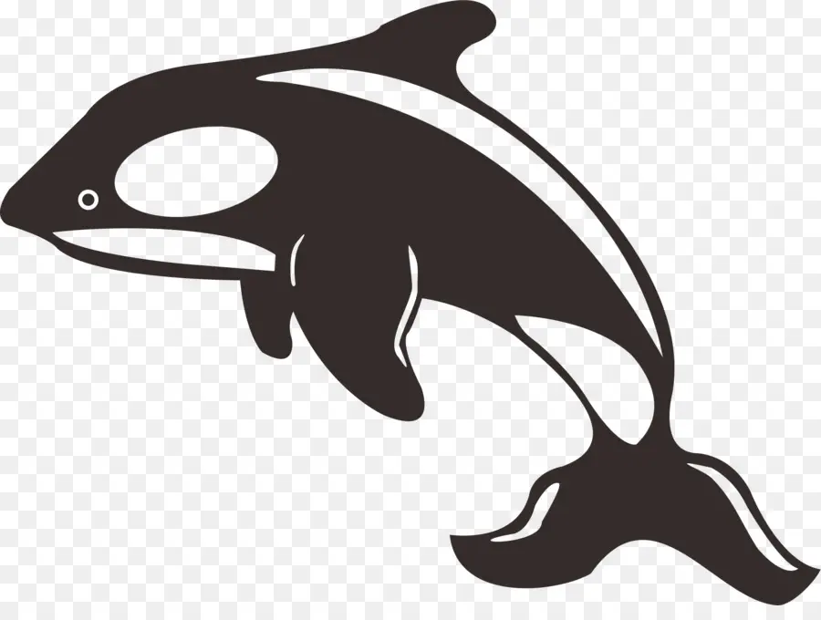 Дельфин，касатка PNG