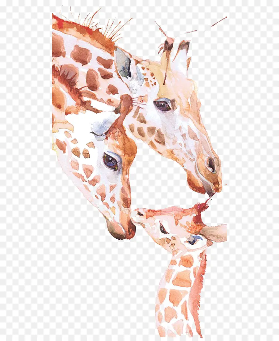жираф，акварельная живопись PNG