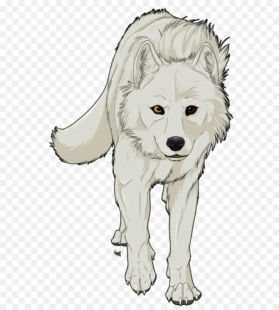 серый волк，мультфильм PNG