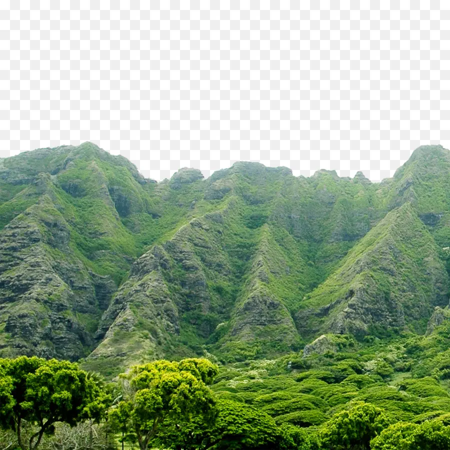 зеленые горы，горы PNG