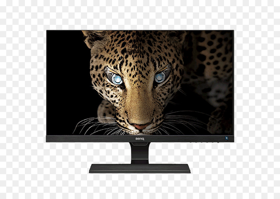 зоопарк ла аурора，компания Benq PNG