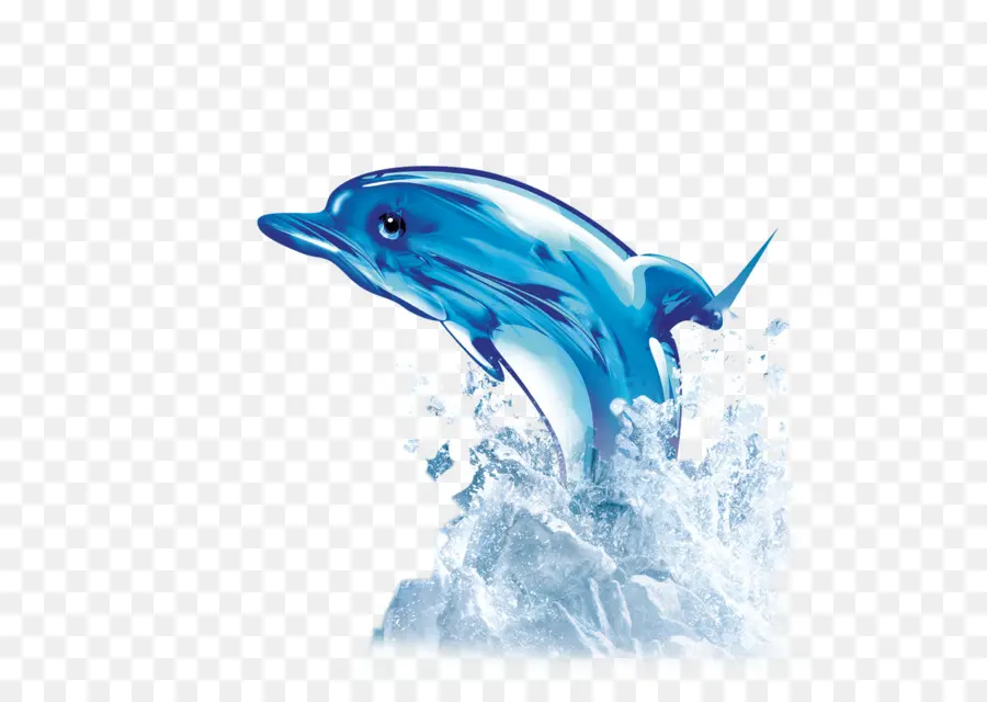 Дельфин，скачать PNG