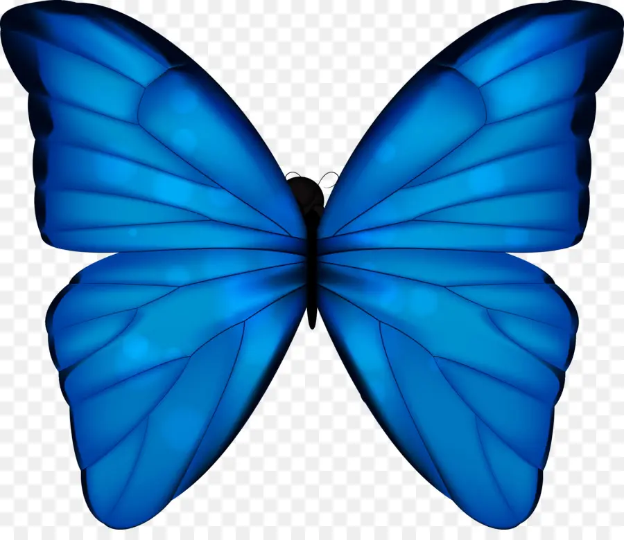 бабочка，бабочка монарх PNG