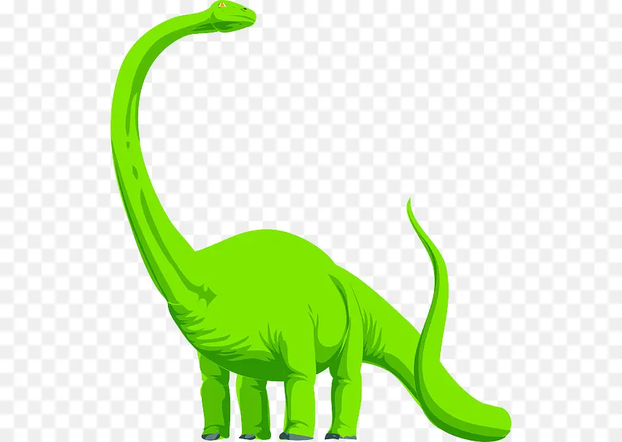 бронтозавр，апатозавр PNG