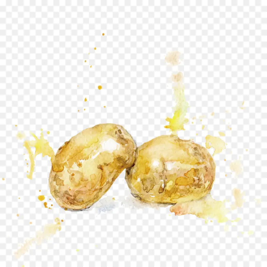 картофель，акварельная живопись PNG