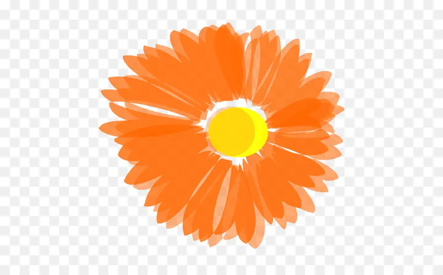 цветок，оранжевый PNG
