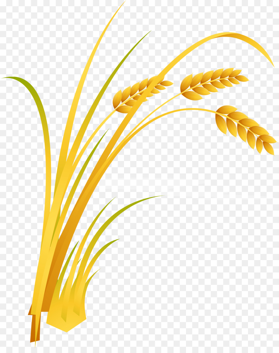 Пшеница мультяшная