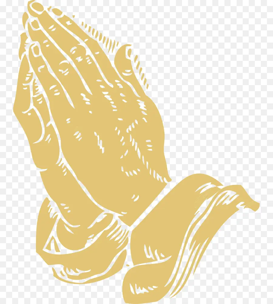 руки молящегося，Библия PNG