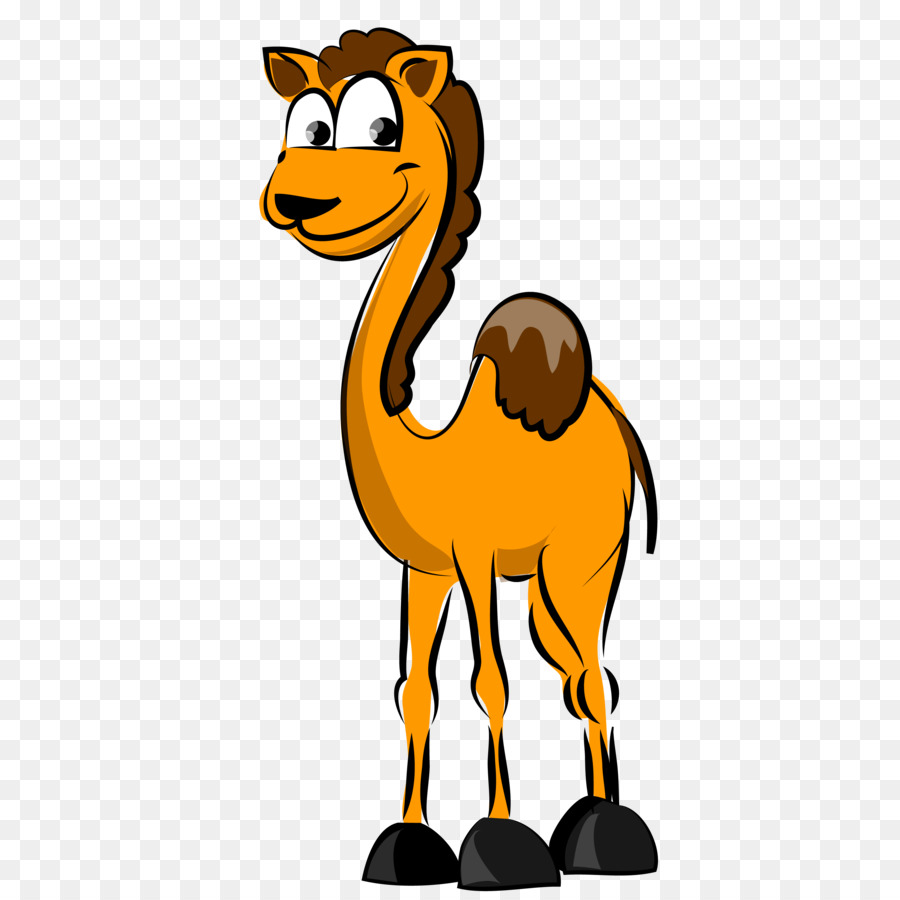 верблюд，мультфильм PNG