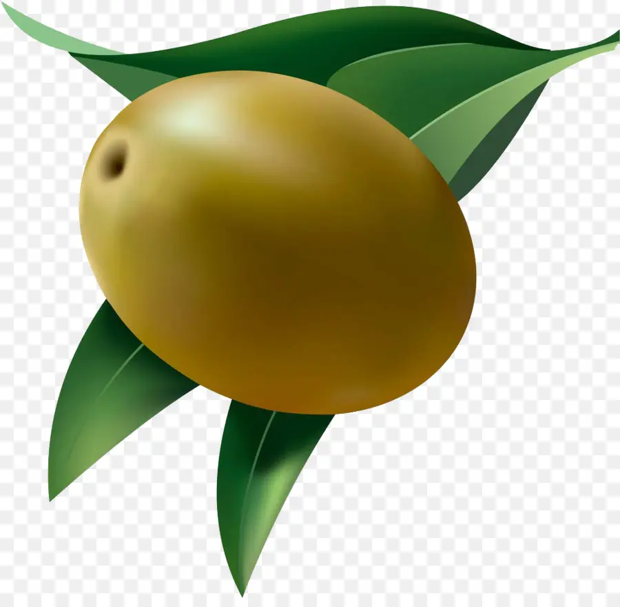 фрукты，оливковое PNG