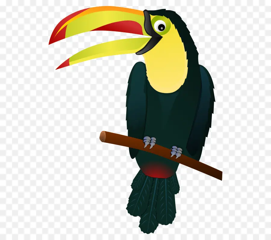 тукан，птица PNG