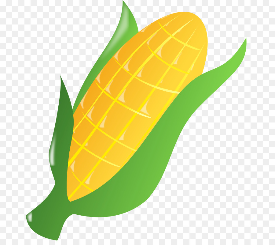 кукуруза в початках，конфеты кукурузы PNG
