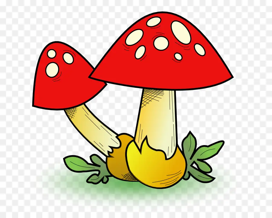 гриб，съедобный гриб PNG