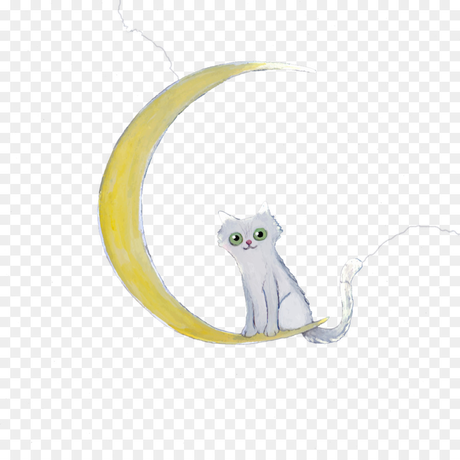 кот на луне，белый кот PNG