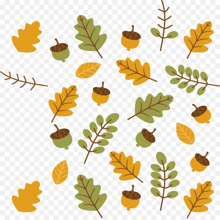 осенние листья，лист PNG